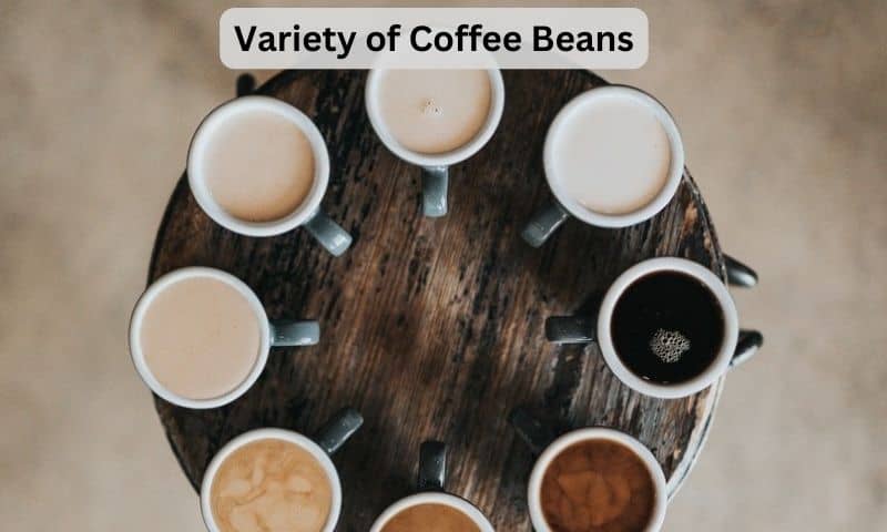 variety of coffee beans