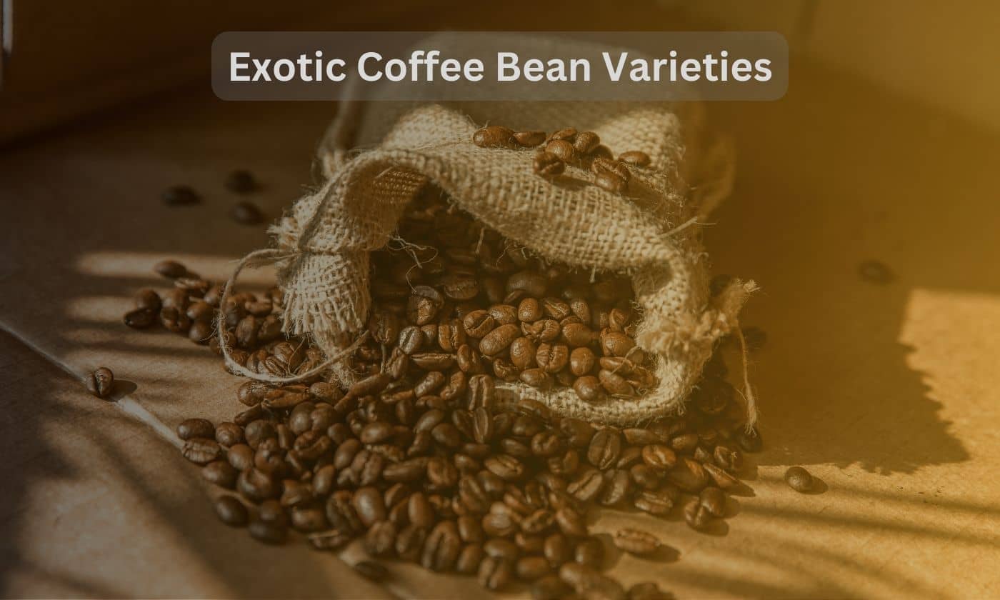 exotic coffee bean varieties