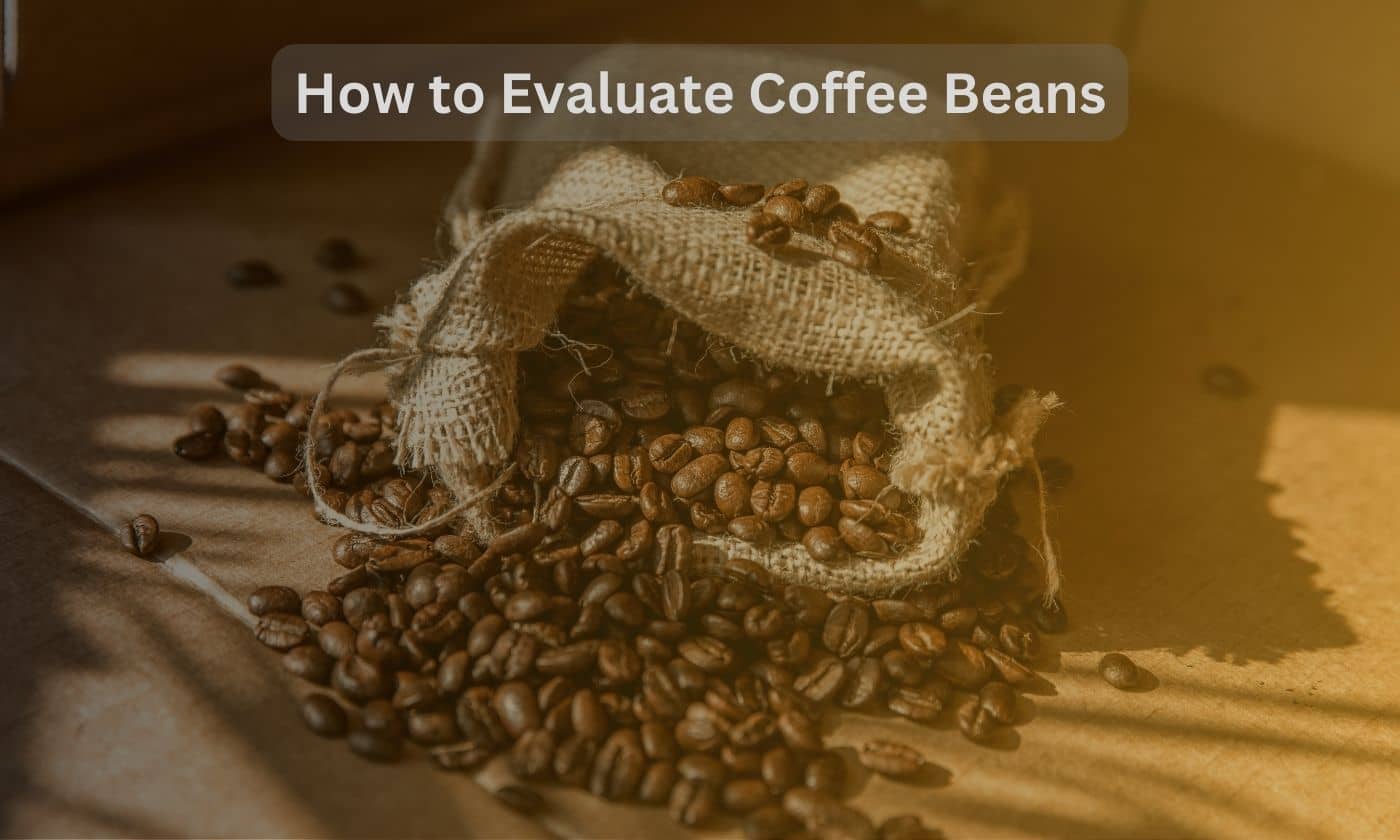 how to evaluate coffee beans