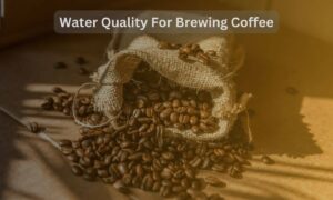 water quality for brewing coffee